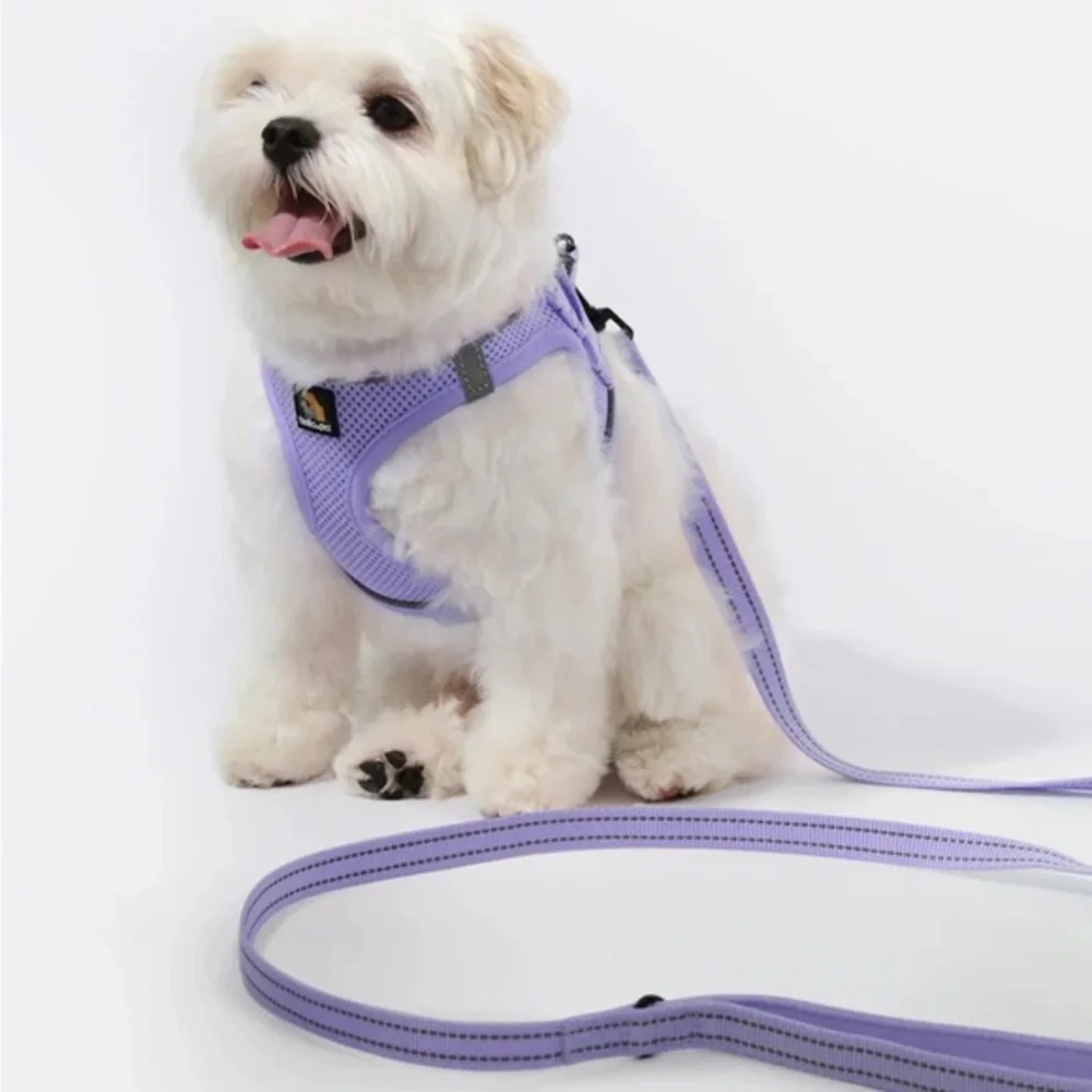 Lavender Dog Harness and Leash Set